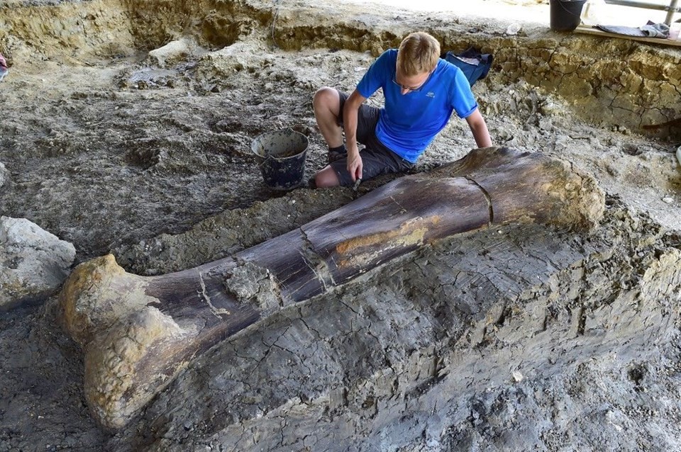 140 milyon yıllık dinozor kemiği bulundu