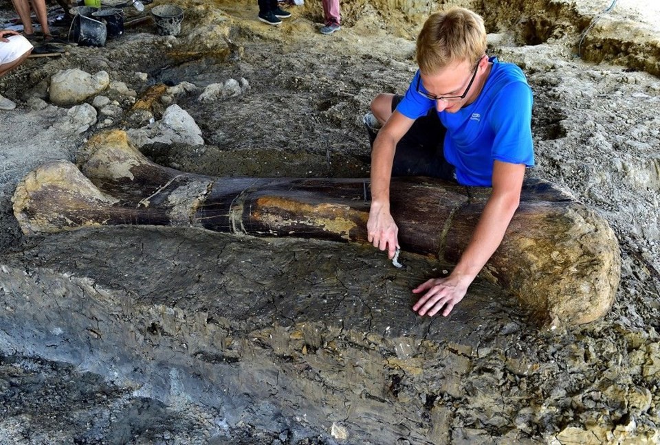 140 milyon yıllık dinozor kemiği bulundu