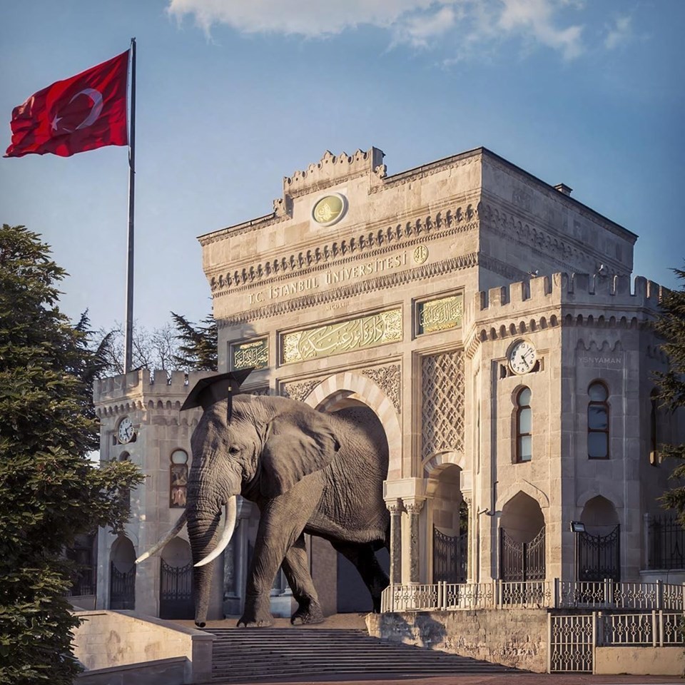 Hayrete düşürecek İstanbul'dan fantastik manzaralar