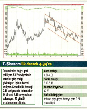 12 hisselik teknik analiz