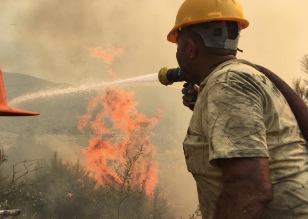 Bodrum'da korkutan yangın