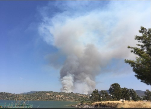 Bodrum'da korkutan yangın