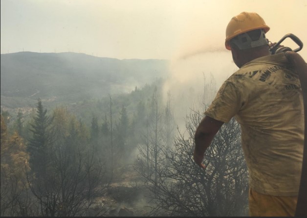 Bodrum'da korkutan yangın