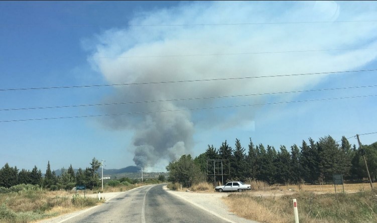 Bodrum'da korkutan yangın