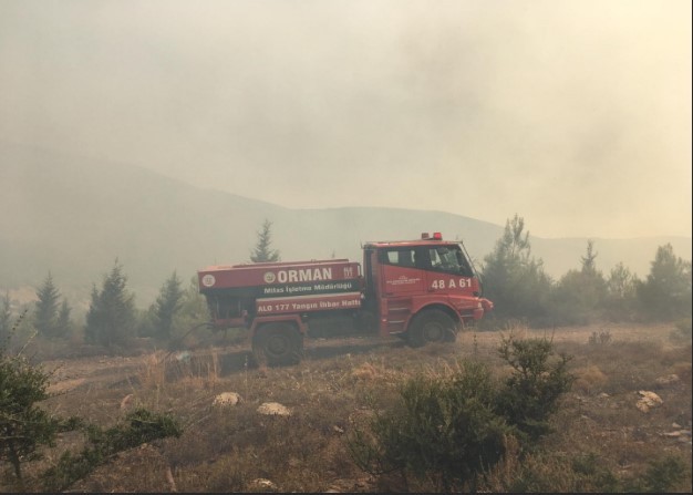 Bodrum'da korkutan yangın