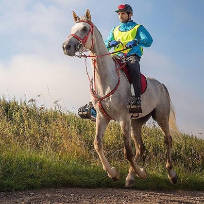 Dubai Prensi'nin çılgın yaşamı