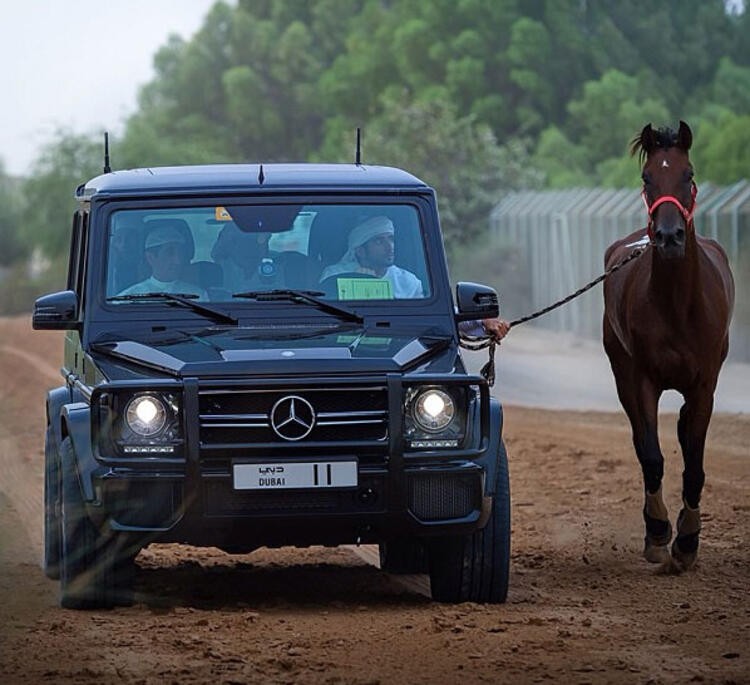 İşte Dubai Prensinin çılgın hayatı! Instagram’ın yıldızı...