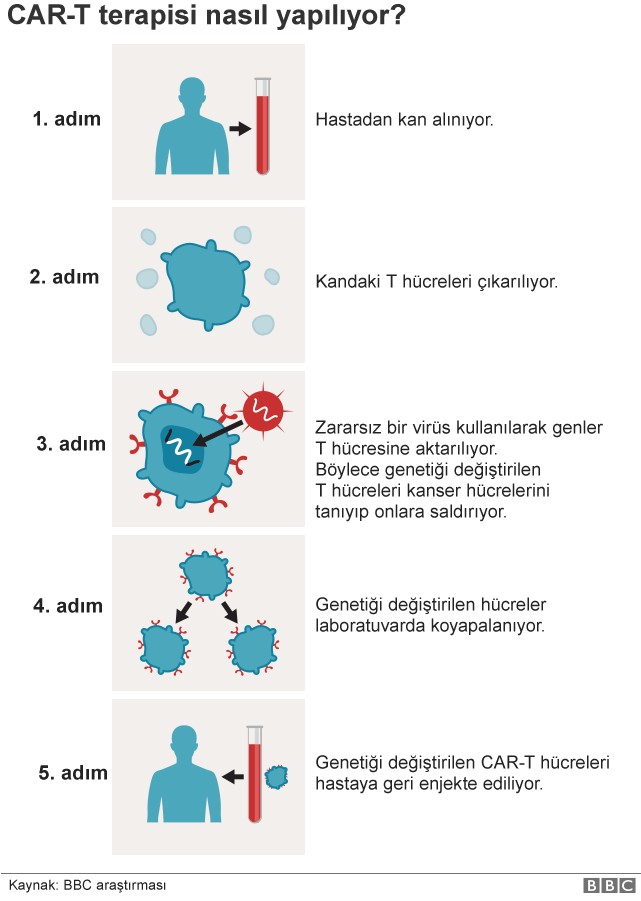 Yeni keşif: Tüm kanserleri tedavi edebilir