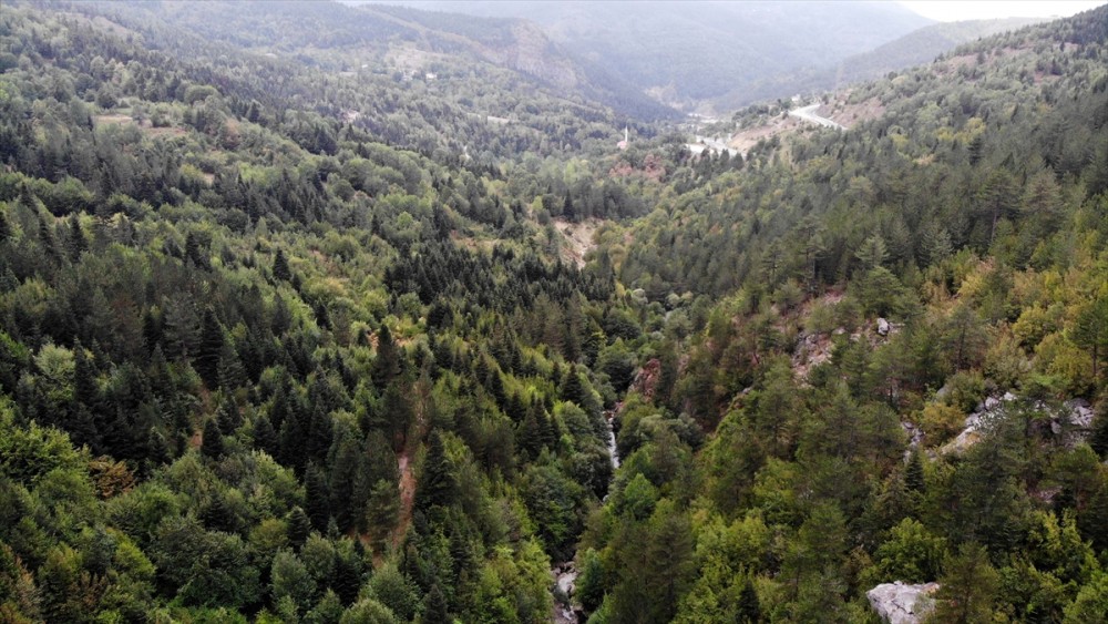 Ersizlerdere Kanyonu, tabiat parkı oldu