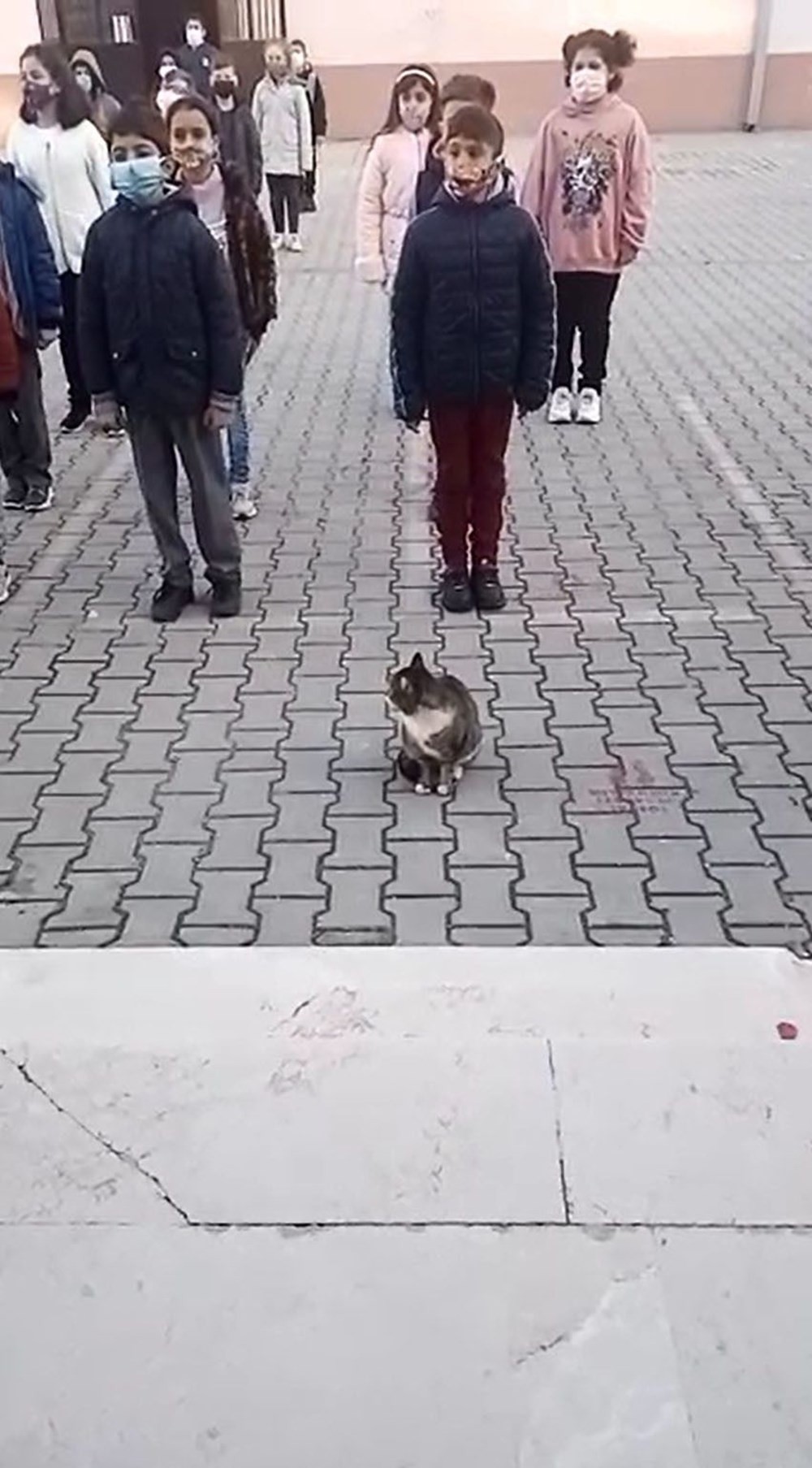 Türkiye'de saat 09.05'te hayat 1 dakikalığına durdu! 