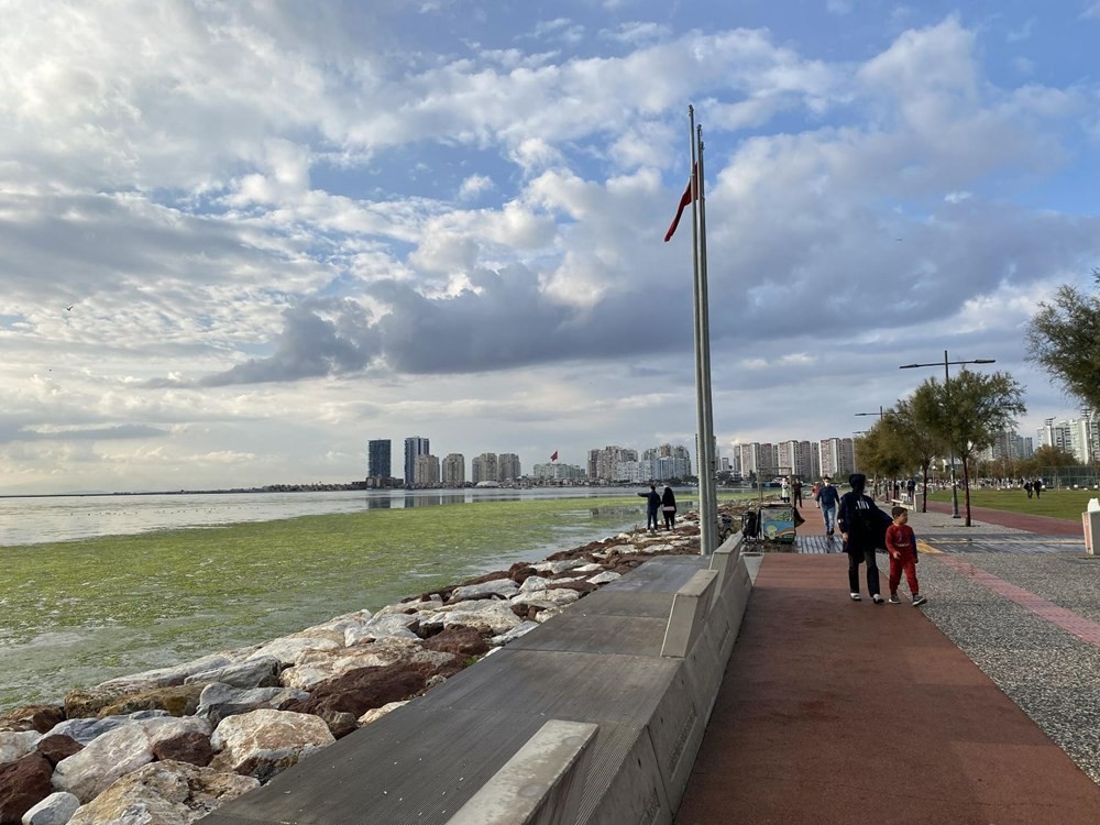 İzmir'de denizin rengi yeşile döndü