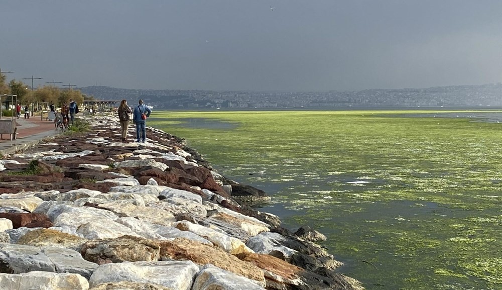 İzmir'de denizin rengi yeşile döndü