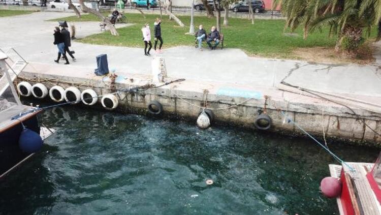 İstanbul Boğazı'nı denizanaları bastı