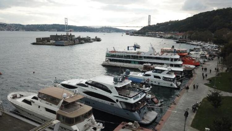 İstanbul Boğazı'nı denizanaları bastı