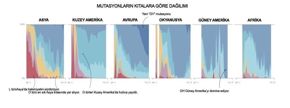 Kovid-19 mutasyonları ülkeler arasında nasıl farklılıklar gösteriyor?