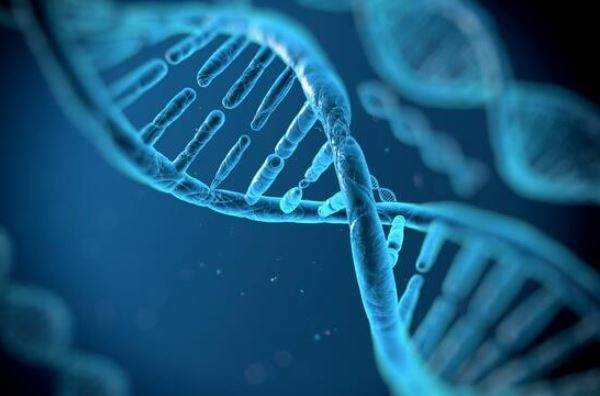 DNA’daki 5 genin korona virüs ile bağlantısı ortaya çıktı