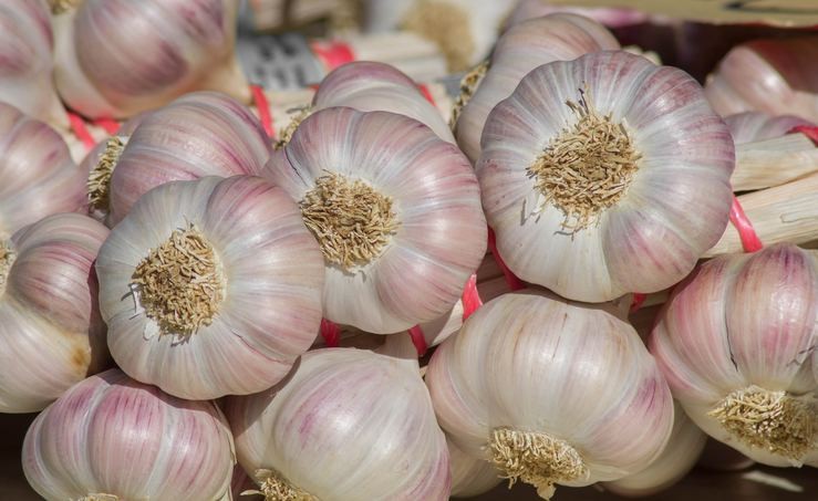 Antibiyotik yerine geçen gıdalar