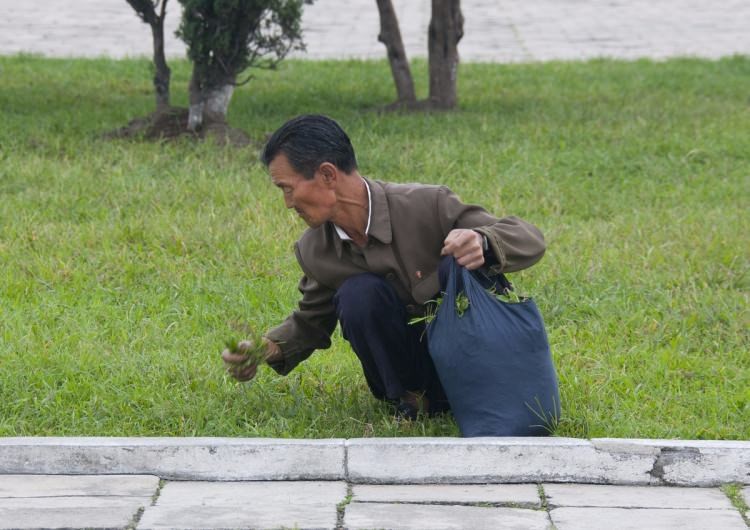 Kuzey Kore'nin yasaklı fotoğrafları