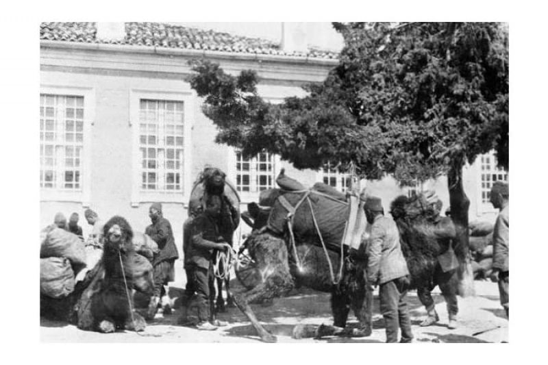 Çanakkale savaşının arşivlerden çıkan fotoğrafları