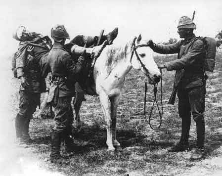 Çanakkale savaşının arşivlerden çıkan fotoğrafları