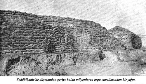 Çanakkale savaşının arşivlerden çıkan fotoğrafları