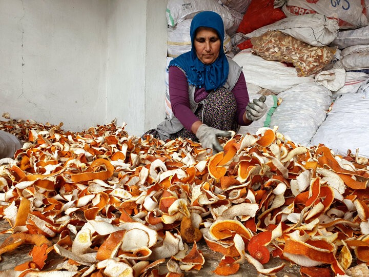 Kendisi 2 lira kabuğu ise 10 lira!