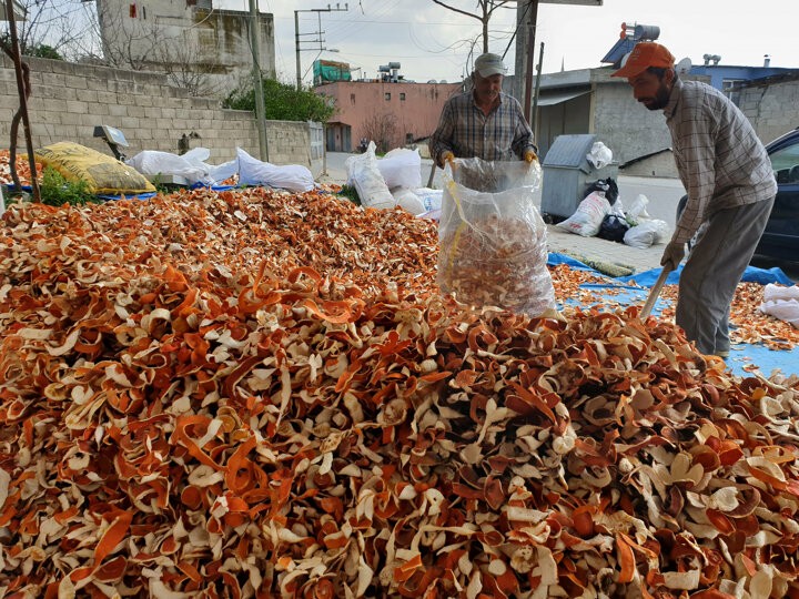 Kendisi 2 lira kabuğu ise 10 lira!