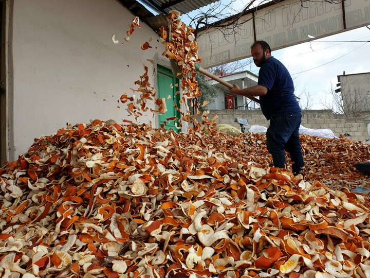 Kendisi 2 lira kabuğu ise 10 lira!