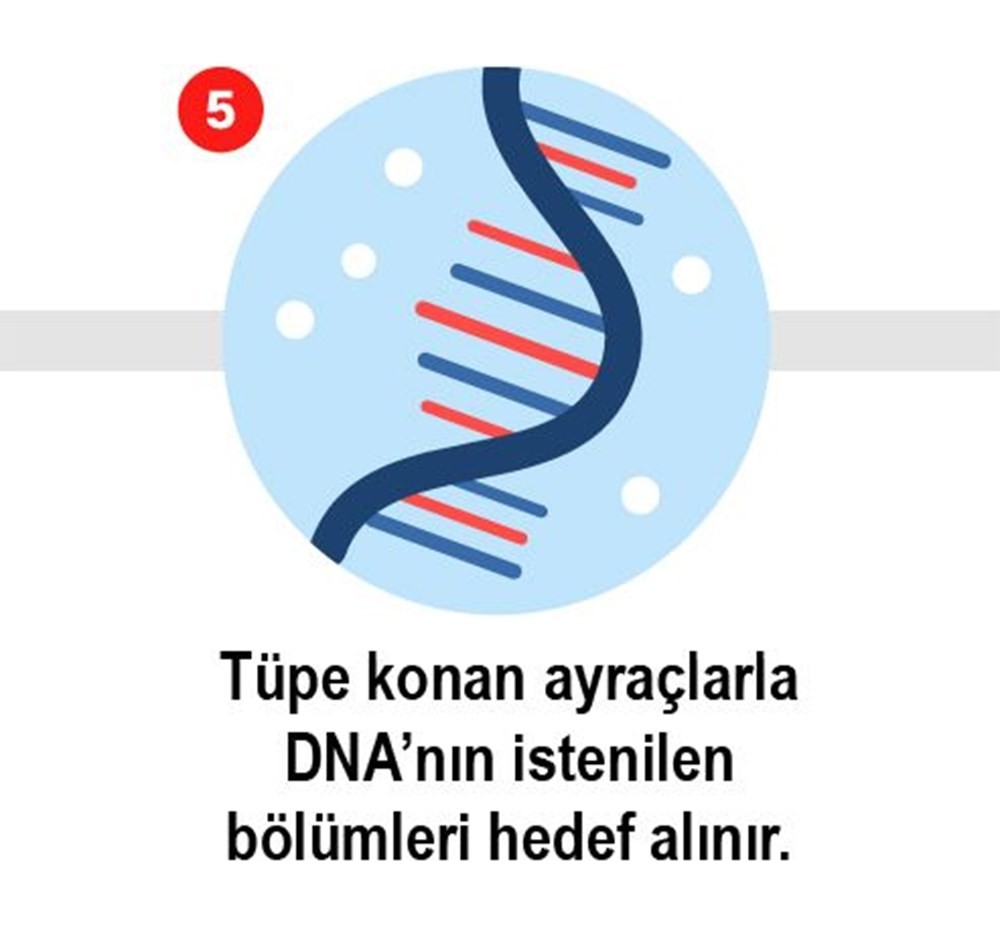 Korona virüs testi nasıl yapılıyor?