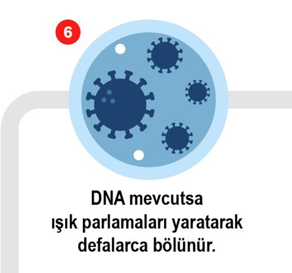 Korona virüs testi nasıl yapılıyor?