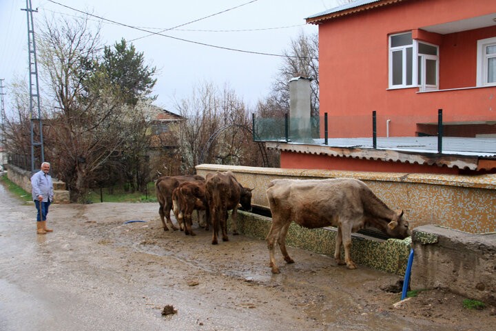 8 ilde 11 köy ve 2 mahallede korona virüs karantinası