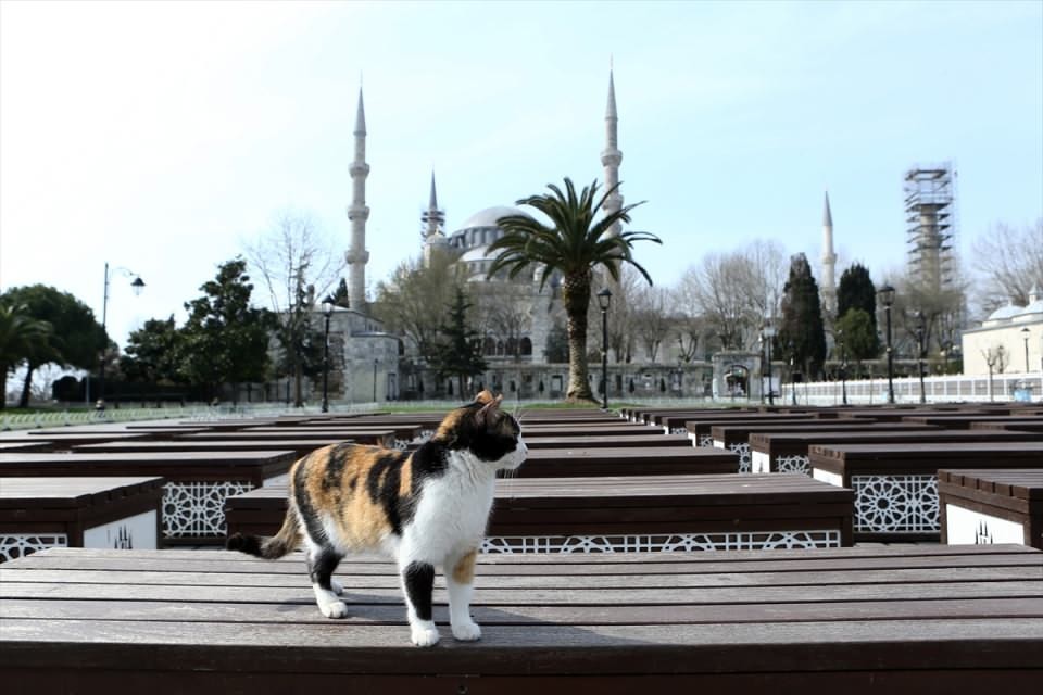 İstanbul sokaklarında korona virüs sakinliği