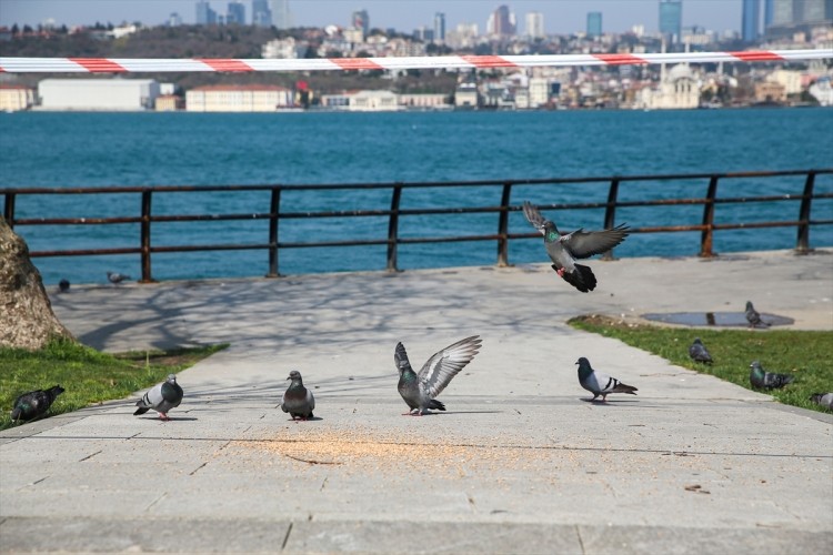 İstanbul sokaklarında korona virüs sakinliği