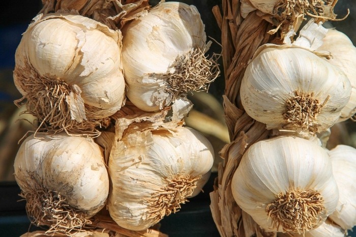 Doğal antibiyotik etkisi olan mucizevi besinler