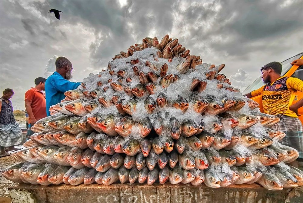 2020'nin en iyi yemek fotoğrafları seçildi