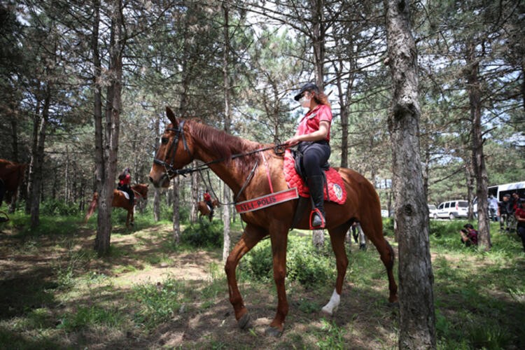 İstanbul'un ormanları için Doğa devriyesi iş başı yaptı