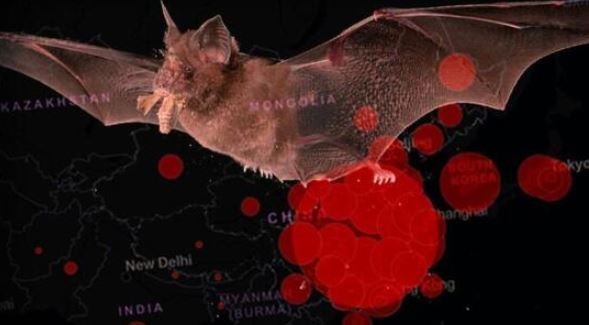 Çinli uzmandan kritik koronavirüs açıklaması