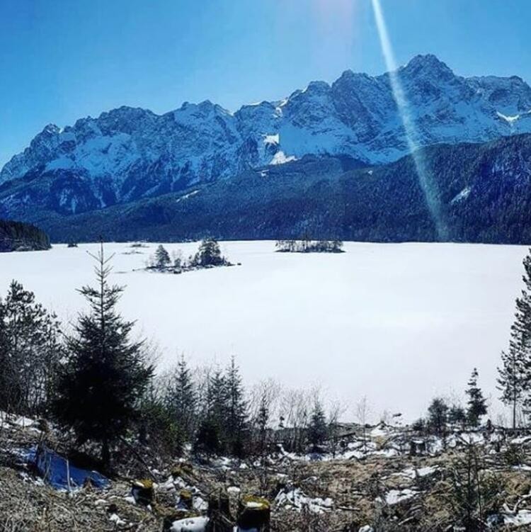 Haremiyle otele kapanan Kral'dan şok karar! Karısı için...