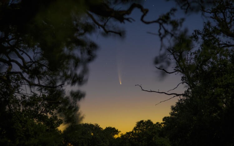 Neowise kuyruklu yıldızı Longoz Ormanları’nda fotoğraflandı!