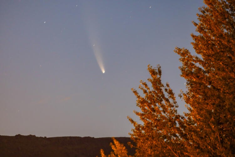 Neowise kuyruklu yıldızı Longoz Ormanları’nda fotoğraflandı!