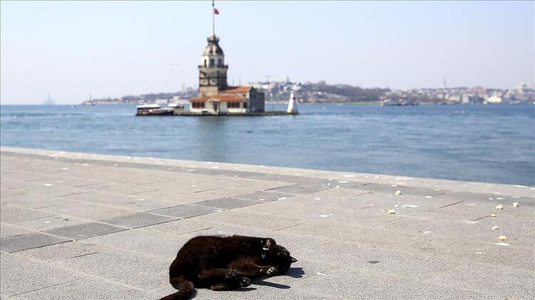 Bakan Koca açıkladı! Korona virüste alarm veren 5 il