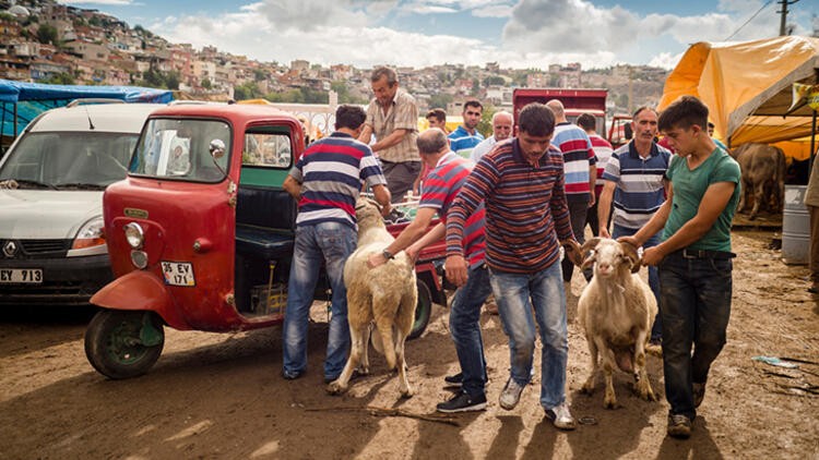 Kurbanlıklardan ve kurban etinden Kovid-19 bulaşır mı?