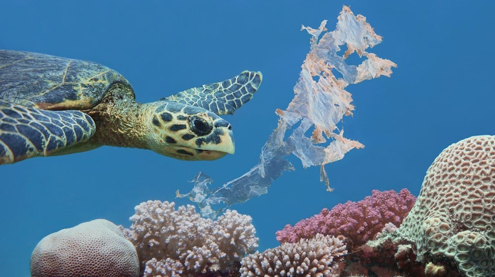 Atlantik Okyanusu’nda tahmin edilenden 10 kat daha fazla plastik bulundu