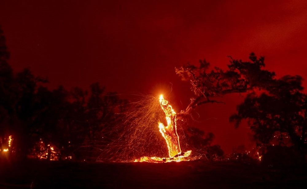 California'ya düşen yıldırımlar büyük yangınlara neden oldu