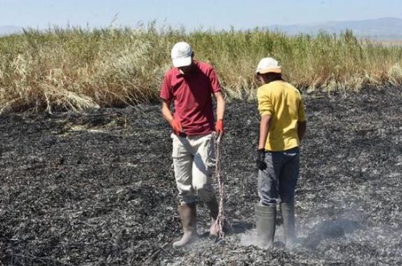 Meteor yangını olduğu iddia edilen alanda mıknatıslarla gök taşı aradılar