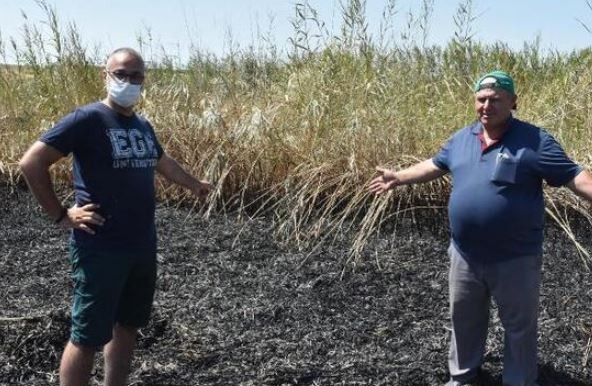 Meteor yangını olduğu iddia edilen alanda mıknatıslarla gök taşı aradılar