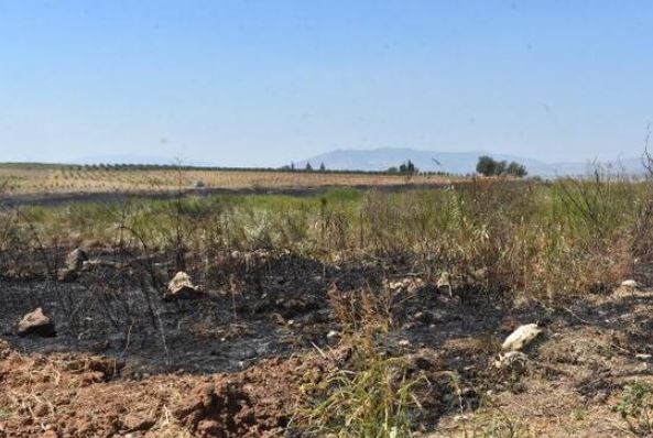 Meteor yangını olduğu iddia edilen alanda mıknatıslarla gök taşı aradılar