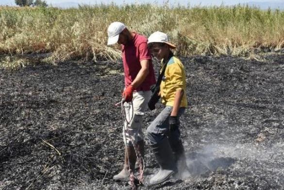 Meteor yangını olduğu iddia edilen alanda mıknatıslarla gök taşı aradılar