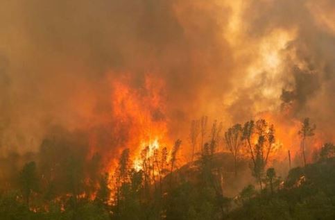 ABD’de devam eden yangınlar haftalarca sürebilir