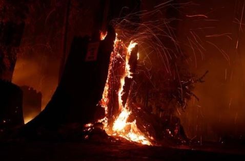 ABD’de devam eden yangınlar haftalarca sürebilir